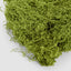 Bagged Moss