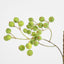 Berry Spray Green