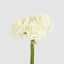 Amelia Real Touch Rose Bouquet Beige