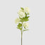 Snowball Spray White