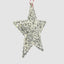 Etienne Lace Star Decoration Large