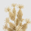Glitter Corn Bunch Gold