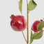 Pomegranate Stem Red