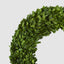 Preserved Boxwood Wreath 45cm