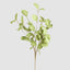 Eucalyptus Stem Green