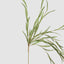 Hanging Willow Stem Green (Set of 12)