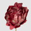 Glitter Edged Protea Flower Stem Red