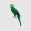 King Parrot Green