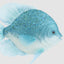 Bluey Fish Decoration