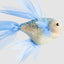 Amelie Fish Hanging Decoration