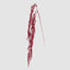 So Red! Amaranthus Spray
