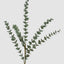 Glitter Eucalyptus Spray Green