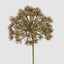 Glitter Agapanthus Stem Gold