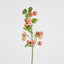 Wild Crab Apple Stem Red