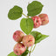 Wild Crab Apple Stem Red