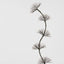 Fleur LumiÃ¨re Multi Dandelion Light Up 150cm with with 1200 LED Warm White Lights