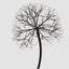 Lumi Light Up Dandelion 150cm with 576 LED Warm White Lights