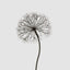 Lumi Light Up Dandelion 210cm with 1200 LED Warm White Lights