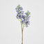 Baby Delphinium Blue