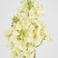Baby Delphinium White
