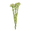 Berries Spray 56cm Green (Set of 12)