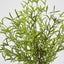 Real Touch Asparagus Fern Bush