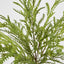 Real Touch Fern Bush