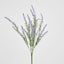 Lavender Spray Purple