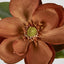 Magnolia Stem 74cm Brown