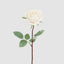 Peach Rose Bouquet x 8 5 Large 3 Small