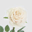Peach Rose Bouquet x 8 5 Large 3 Small