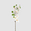 Magnolia Pearl Spray White