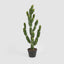 Potted Cactus 98cm