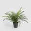 Potted Fern 40cm