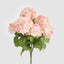 Hydrangea Bush With 7 Heads Pink
