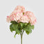 Hydrangea Bush With 7 Heads Pink