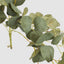 Eucalyptus Hanging Bush