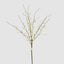 Pussy Willow Floral Stem With Leaves