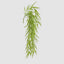 Hanging Leaf Bush 90cm