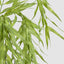 Hanging Leaf Bush 90cm