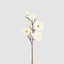 Magnolia Stem With 5 Flowers 102cm