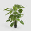 Real Touch Taro Tree 210cm