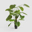 Real Touch Taro Tree 210cm