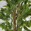 Ficus Tree 160cm