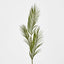 Areca Palm Leaf Spray Green
