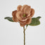 Magnolia Stem 74cm Beige