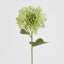 Dahlia 62cm Green