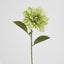 Dahlia 62cm Green
