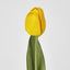 Liv Tulip 45cm Yellow