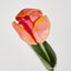 Liv Soft Touch Tulip Orange
45cm (Set of 60)